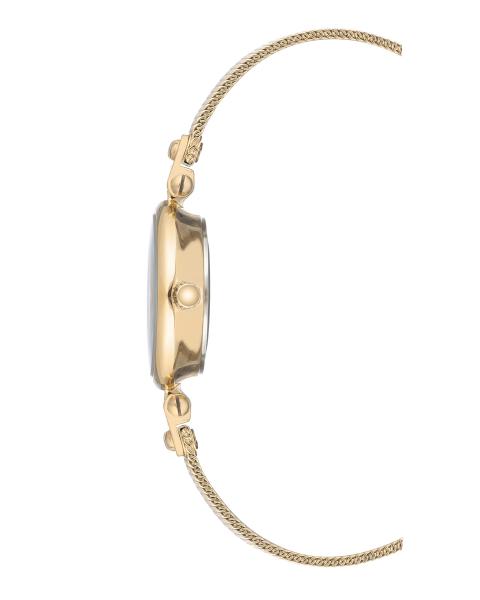 Naiste käekell Anne Klein Diamond AK/3002CHGB - Premiumkellad