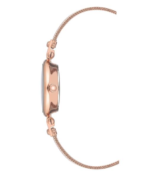 Naiste käekell Anne Klein Diamond AK/3002RGRG - Premiumkellad