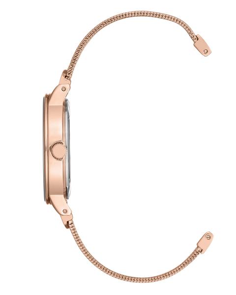 Naiste käekell Anne Klein Diamond AK/3220RGRG - Premiumkellad